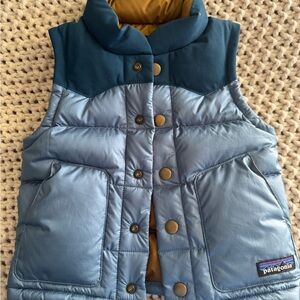 Patagonia Brown and Blue Puffer Vest